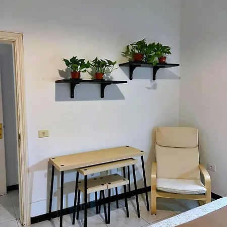 Surf House Gran Canaria Hostel Las Palmas