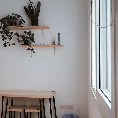 Surf House Gran Canaria Albergue *