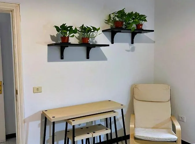 Surf House Gran Canaria Hostel Las Palmas / Gran Canaria