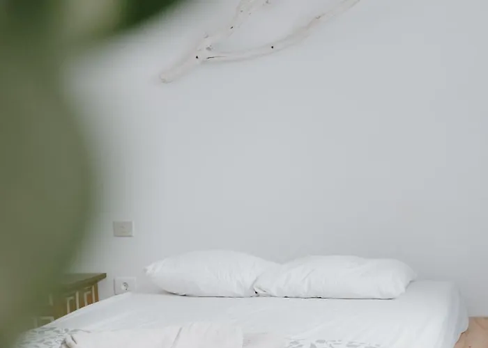 Surf House Gran Canaria Las Palmas / Gran Canaria